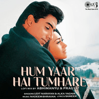 Hum Yaar Hai Tumhare